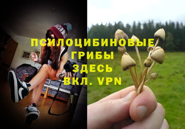 ALPHA PVP Горно-Алтайск