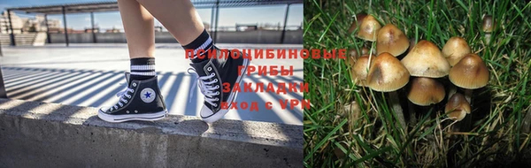 мет Горнозаводск